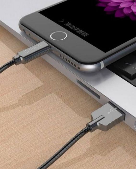 تصویر  کابل 1 متری شارژ و انتقال اطلاعات USB 2.0 به Lightning اوریکو برای شارژ و انتقال اطلاعات آیفون و آیپد مدل LTS-10