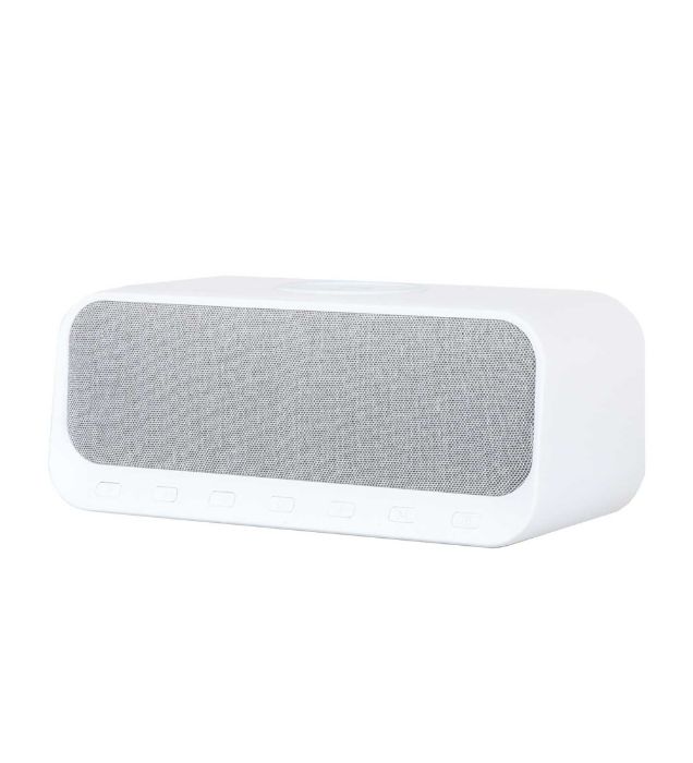 تصویر  اسپیکر بی سیم دینلاین مدل DW-300