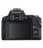 تصویر  دوربین عکاسی کانن مدل EOS 250D Body