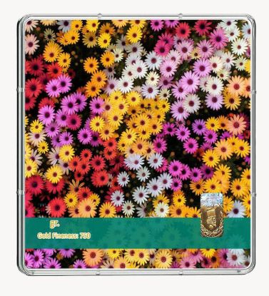 تصویر  شمش طلا 18 عیار 0.9 گرمی طلاشاپ مدل گل کد BRF10051